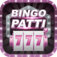bingo patti
